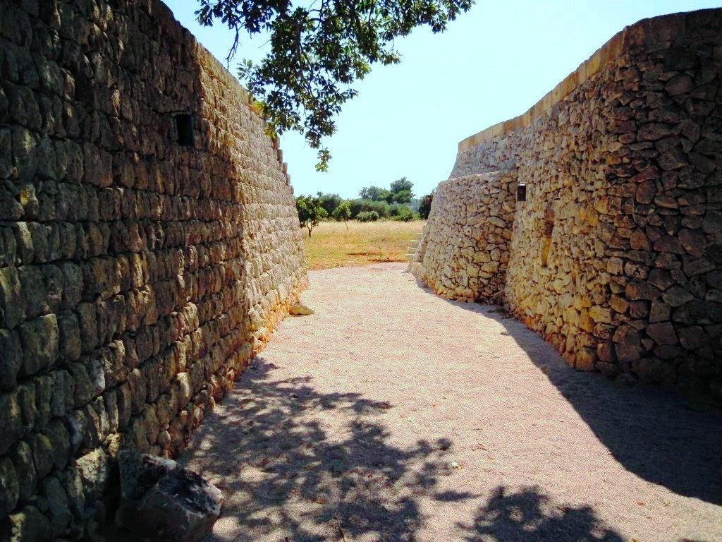 טריקאסה Agriturismo Le Fornelle חדר תמונה